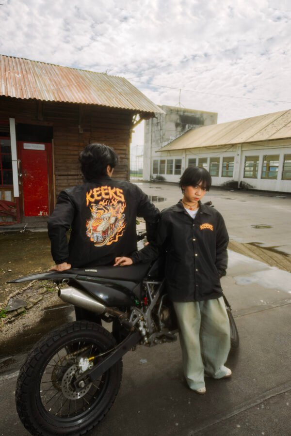 Big cat