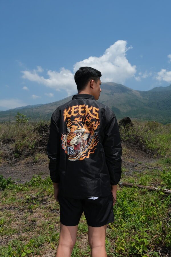 Big cat